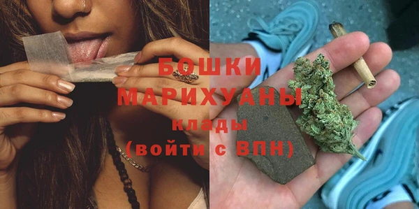 мдпв Козловка