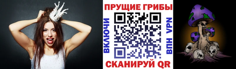 Галлюциногенные грибы Cubensis  Купить  Жигулёвск 